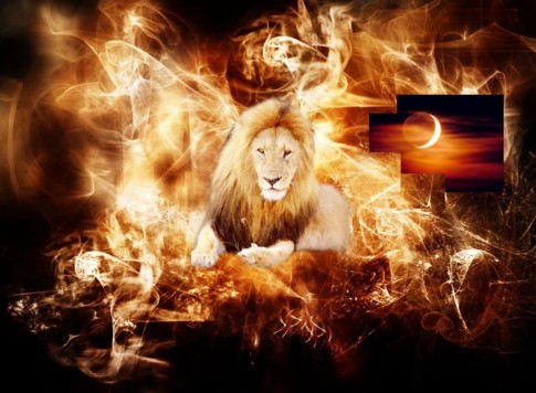 lion_flaming-lion_crop_50